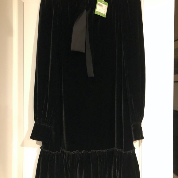 Kate Spade New York Velvet Swing Dress - Picture 4 of 6